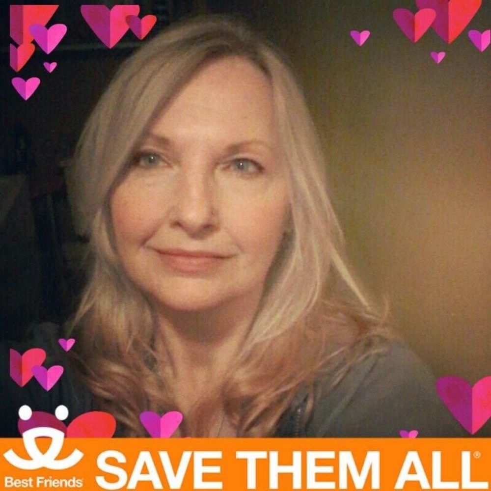 Meet your Posher, Sandy